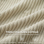 Canapé 2 Places en Velours, 170 cm, Coussin à Ressorts, Crème